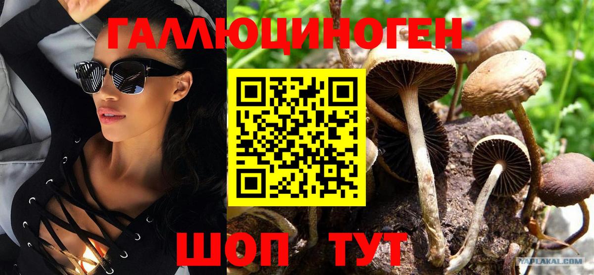 Псилоцибиновые грибы Psilocybine cubensis Белебей
