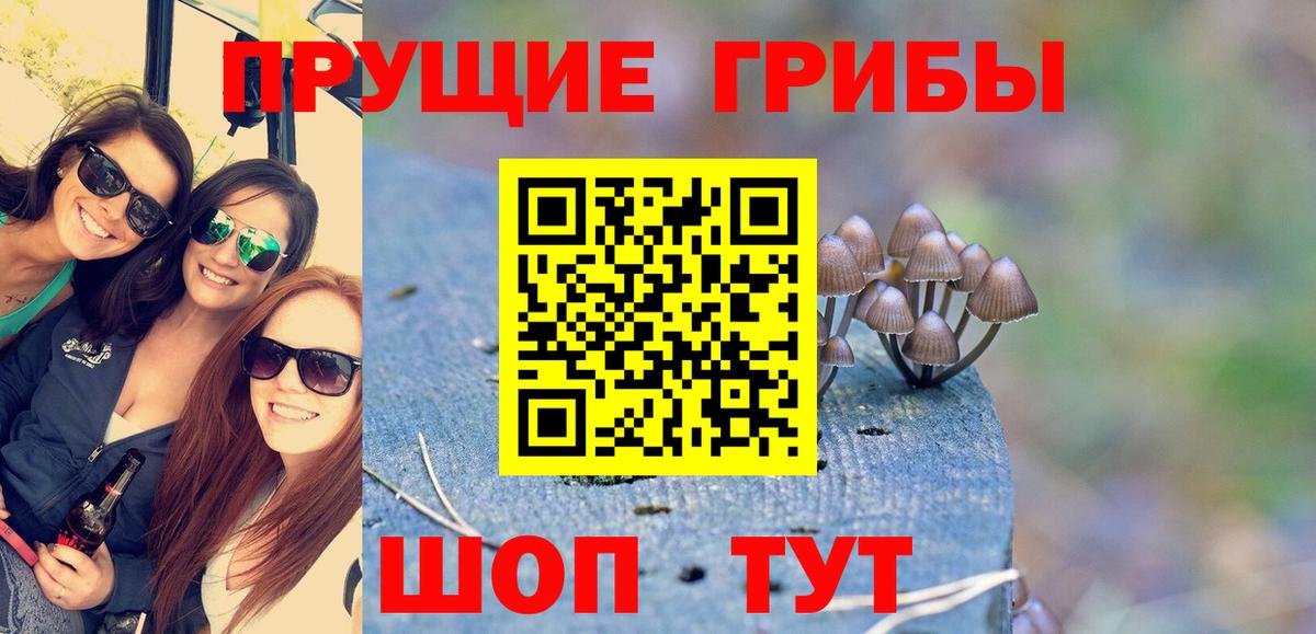 Псилоцибиновые грибы Psilocybe  Галлюциногенные грибы Psilocybe  Вход с VPN  Белебей 